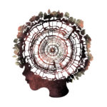 Illustration by Anastasia Tarkhanova