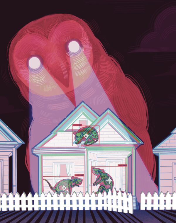 Illustration by Anna (Zihan) Wang