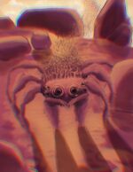 Illustration by Annette Barilo