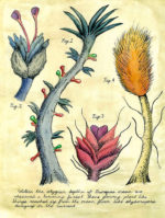 Illustration by Bill Gibbons