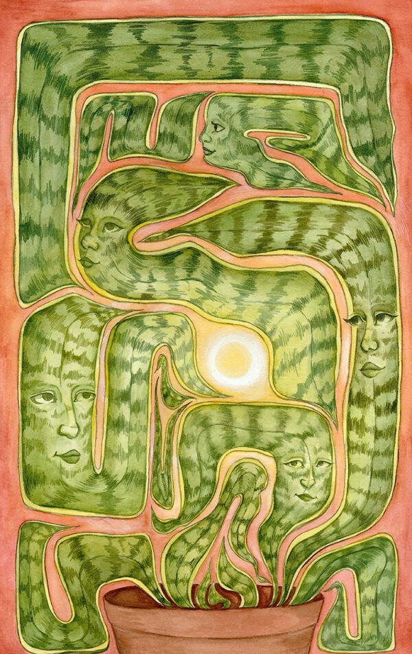Illustration by Brianna Goslin