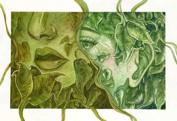 Illustration by Brianna Goslin