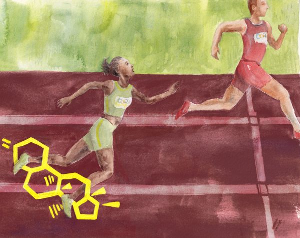 Illustration by Cora Marinoff