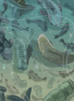 Illustration by Crystal Chiu