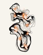 Illustration by Elizabeth McNeil