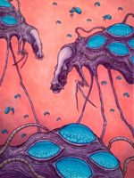 Enlarge Illustration by Jake Odrowski