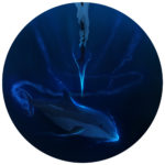 Illustration by James Brough