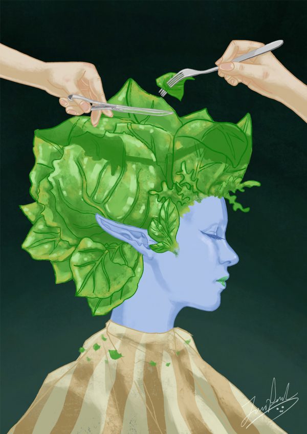 Illustration by Jennifer Liu