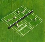 Illustration by Jennifer Phelan