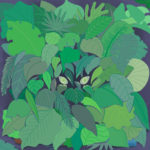 Illustration by JingYi Li