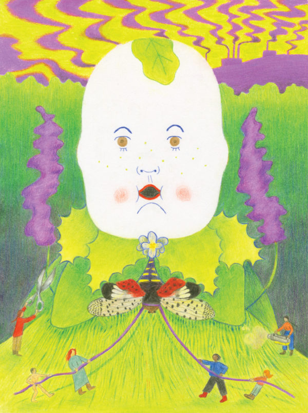 Illustration by Olivia Kim