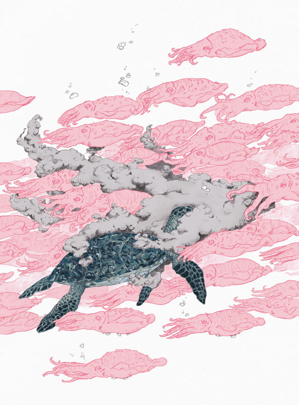 Illustration by Kima Lenaghan