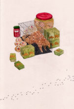 Illustration by Kima Lenaghan