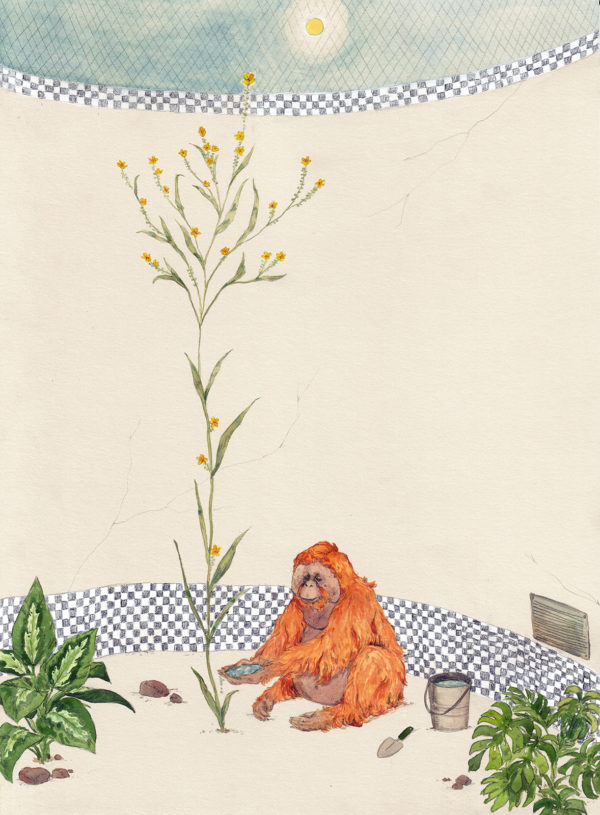 Illustration by Kima Lenaghan