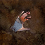 Illustration by Kirollos Kilada