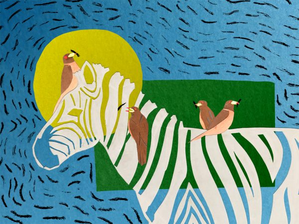 Illustration by Michael Thompson