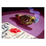 Enlarge Illustration by Tram Pinney