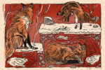 Illustration by Patricia Robin Wisniewski