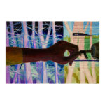 Enlarge Illustration by Tram Pinney