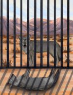 Illustration by Qinyuan Li