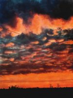 Enlarge Illustration by Shahrzad Soroosh