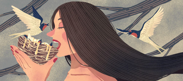 Illustration by Shiyu Stephanie Chen
