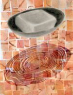 Illustration by Anna Teolis