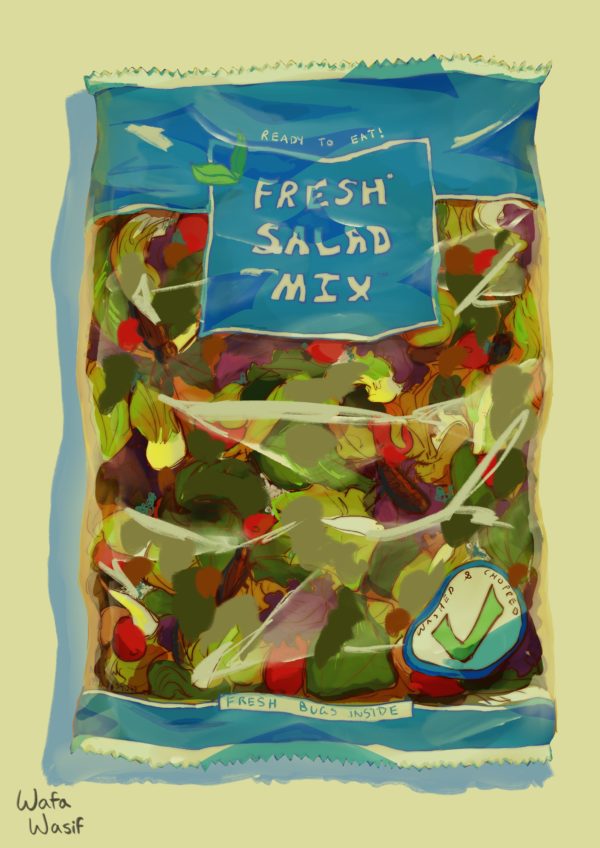 Illustration by Wafa Wasif