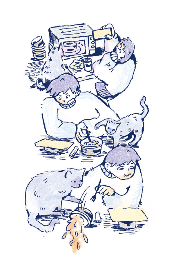 Illustration by Yixin Chen