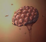 Illustration by A. Kleinsteuber