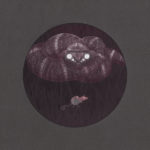 Illustration by A. Kleinsteuber