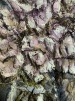 Enlarge Illustration by Brooke Olivia