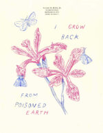 Illustration by Carlow Phillips