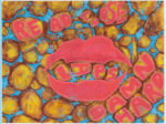 Illustration by Emily, Akerman