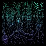 Illustration by Emily Fay Fin