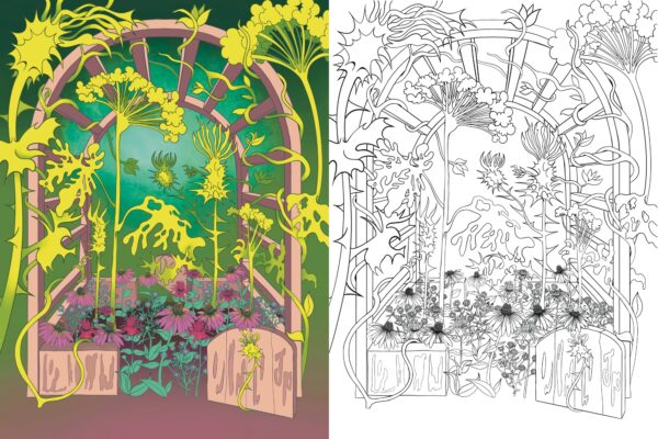 Illustration by Julia Pedden