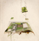 Illustration by Lydia He