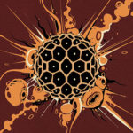 Illustration by Mandy Liang