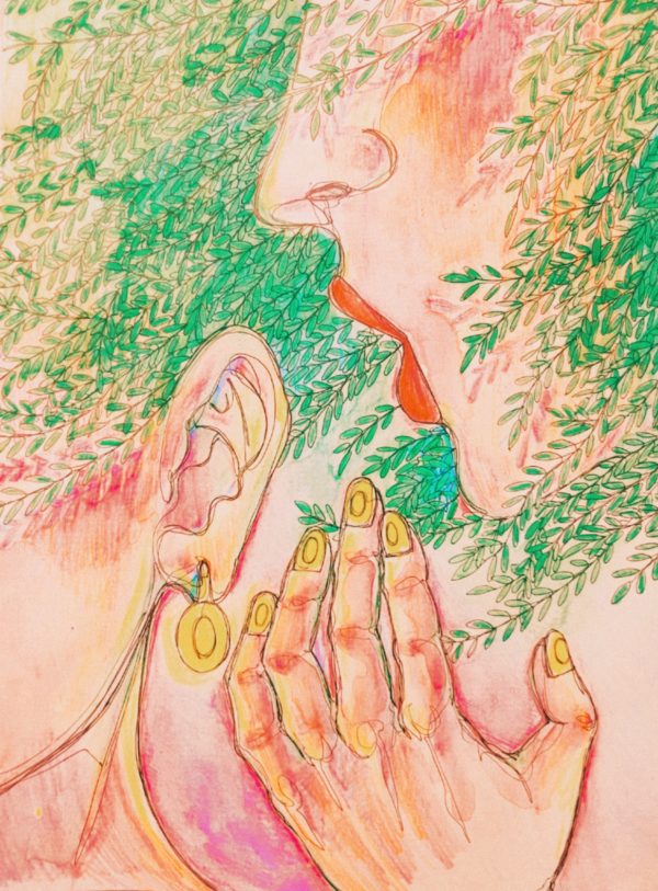 Illustration by Nhi Nguyen