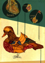 Illustration by Robin Richardson