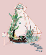 Illustration by Sabrina Lin