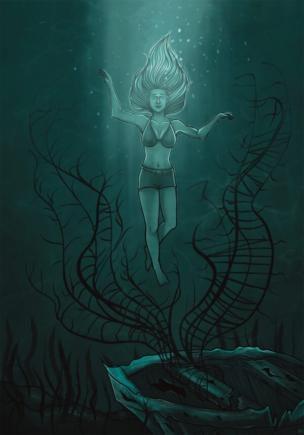 Illustration by Stefanie Virgilio