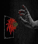 Illustration by Victoria van den Hoef